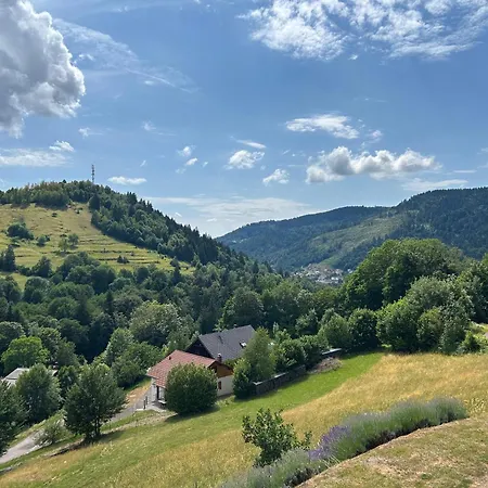 D'hotes Chez Nico, Magnifique Vue Sur Les Montagnes ! Bed and breakfast